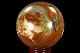 Colorful Petrified Wood Sphere - Madagascar #135660-1